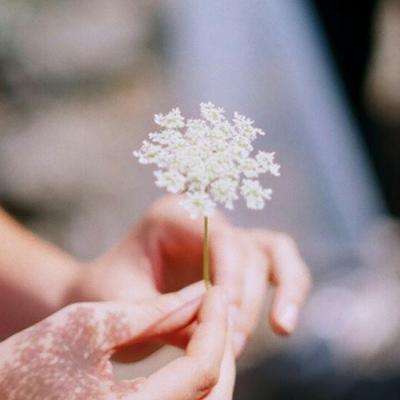 竞猜足球app手机app下载